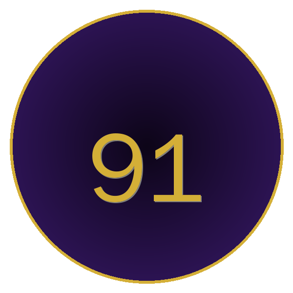 91 Logo